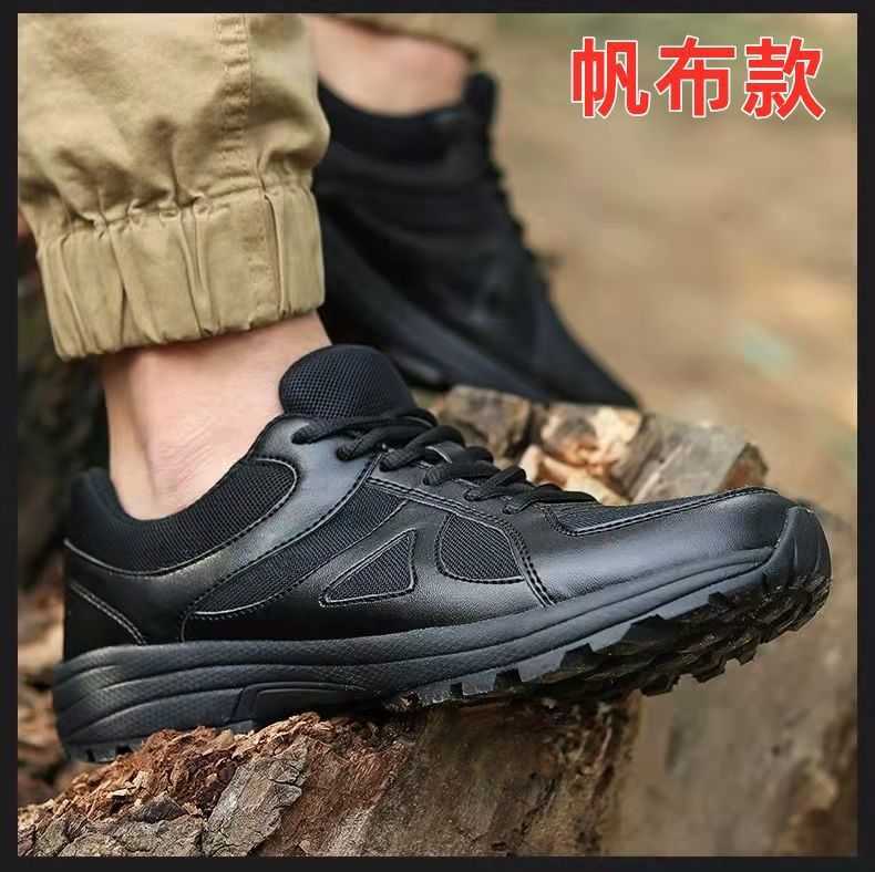 2fc0c77c-3398-427d-a417-cf6f5a5a0630.jpe