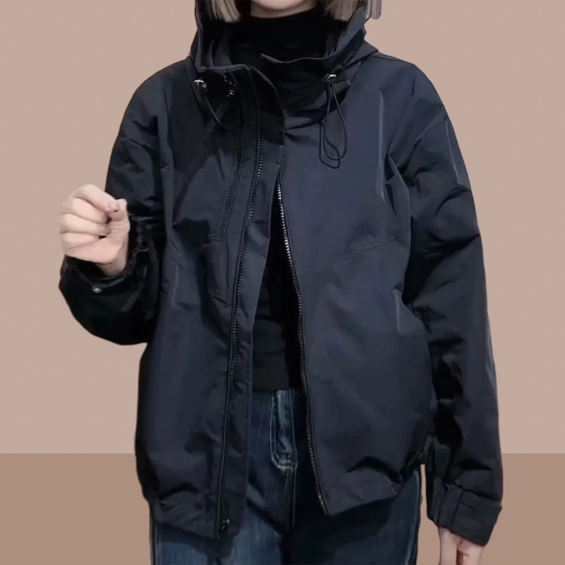 一键上货_20241113204941