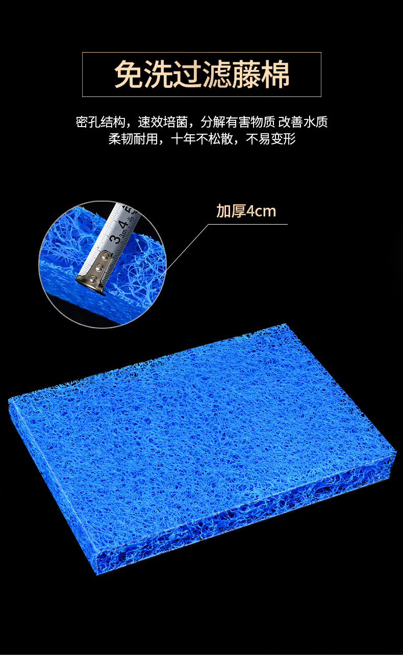 022b0344-bd73-4373-8324-c13d756db9cd.jpe