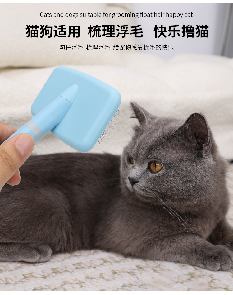 a09a9db8-d84a-4c77-86ef-f67cad87f5e2.jpe