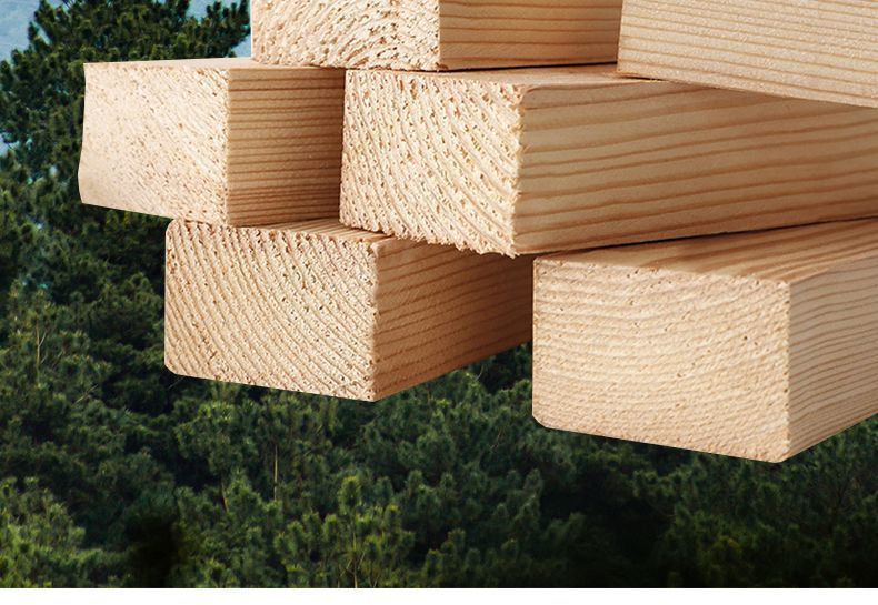 5df3a821-a168-4526-8b07-2487f1f099be.jpe