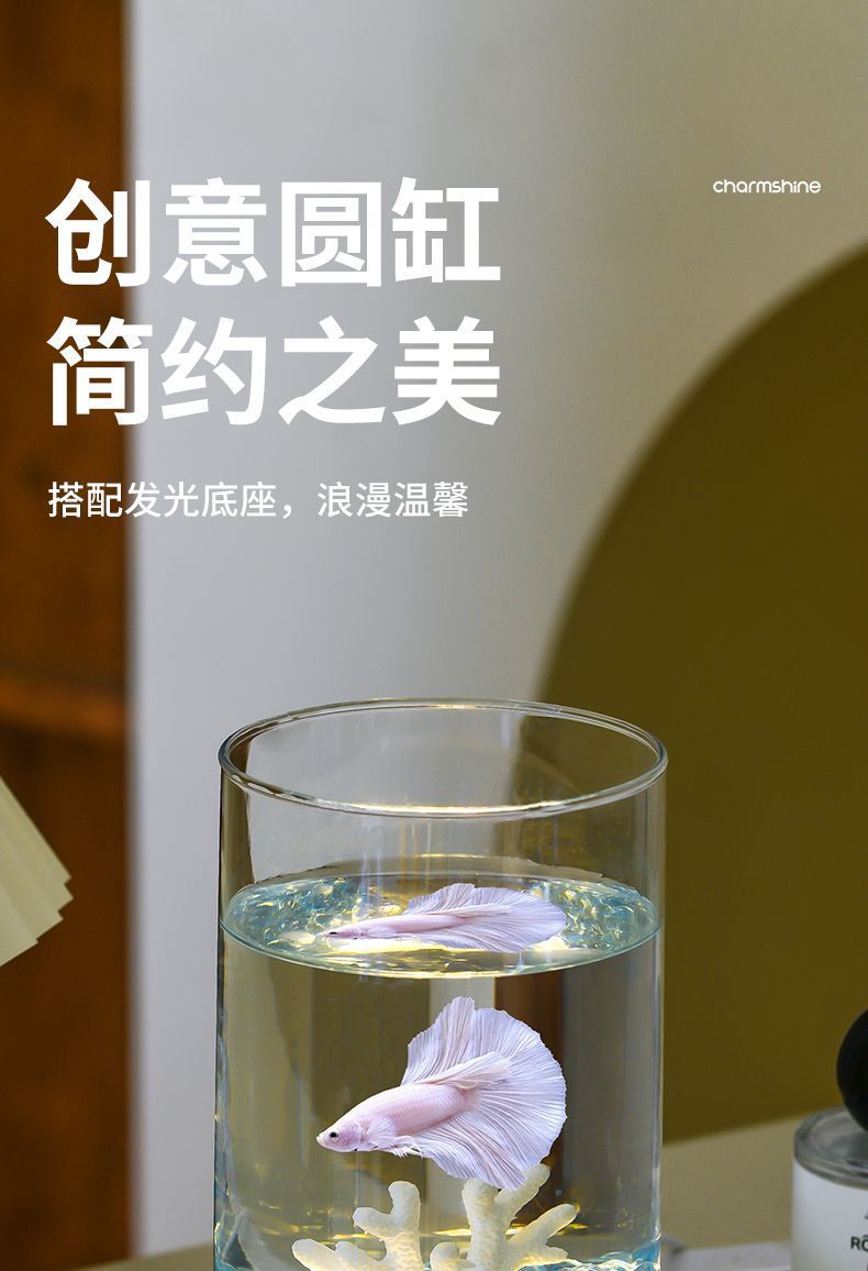 53cb7e24-07a0-4ec7-836a-4251819e1ce8.jpe