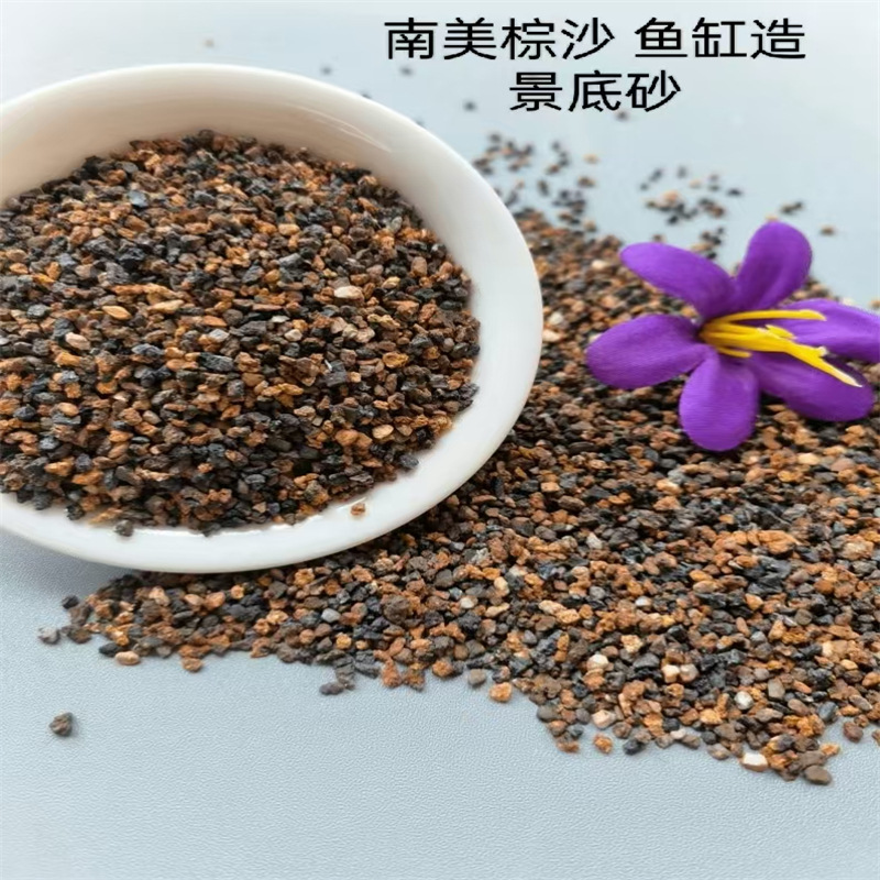 微信图片_202502190932351