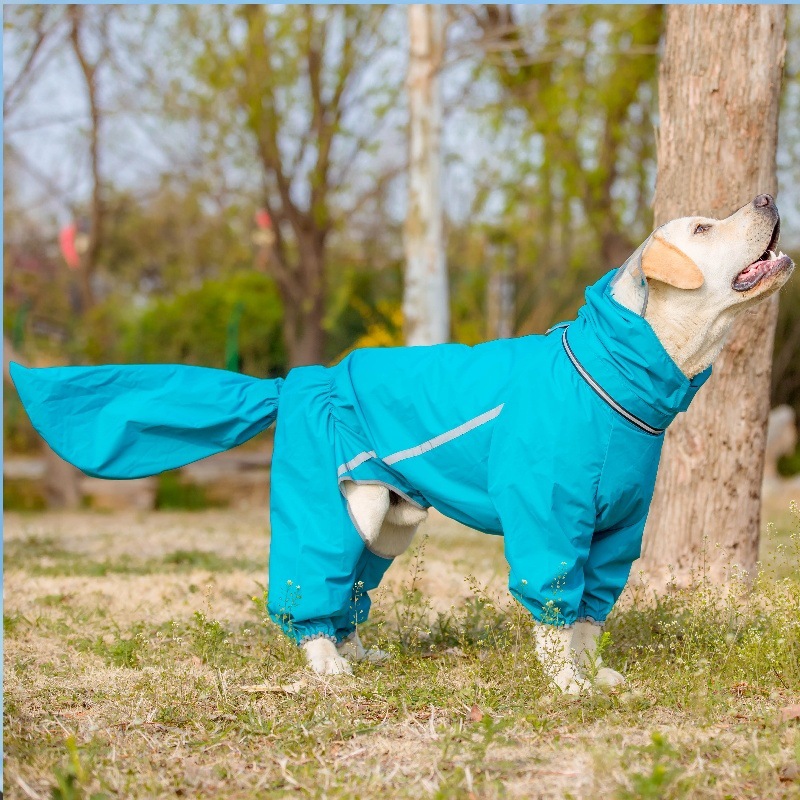 797547fe-77a6-433a-a1c8-6b05eeb176be.jpe