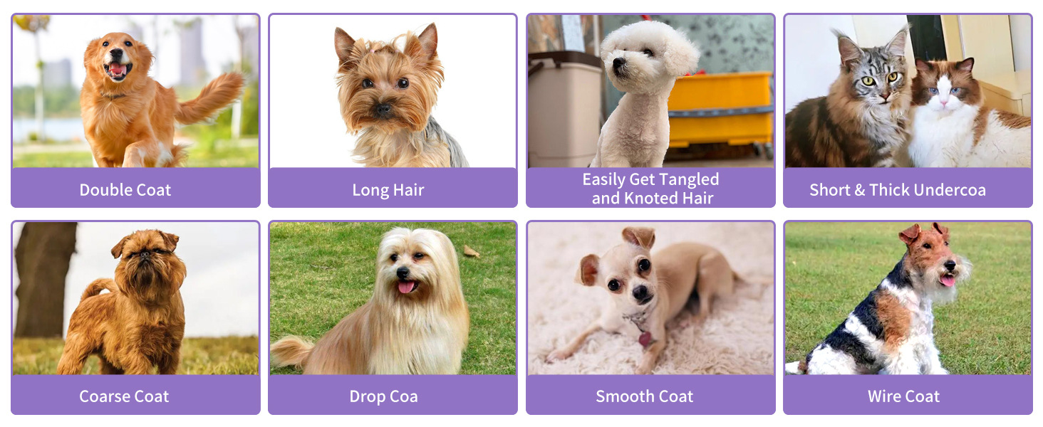 slicker brush for goldendoodles