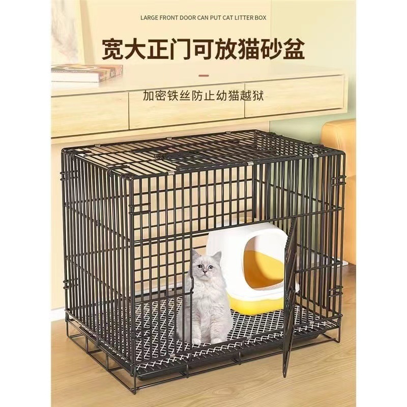 0353acc6-9675-4735-b4d0-b059d21cf5d7.jpe