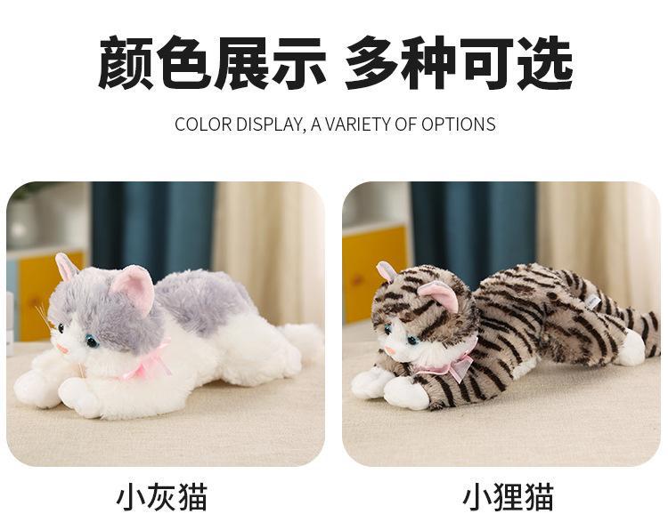 猫猫_02.jpg