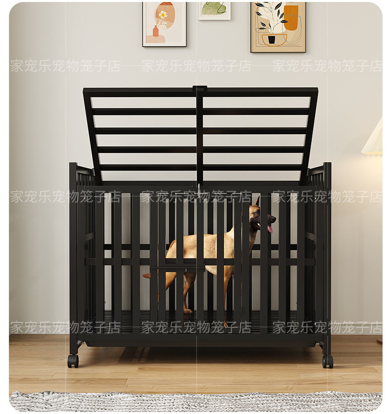 51cb9a59-2812-4213-8e89-7861641606fc.jpe