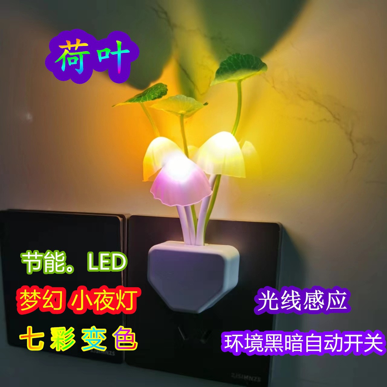 O1CN01PCAh5n1X3aijmYOBK_!!2843