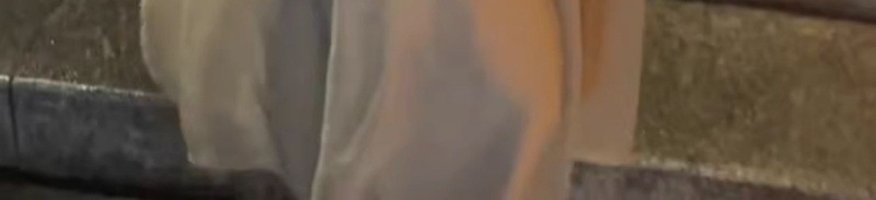 a9ada3c4-9216-4d49-b080-06f805788f8c.jpe