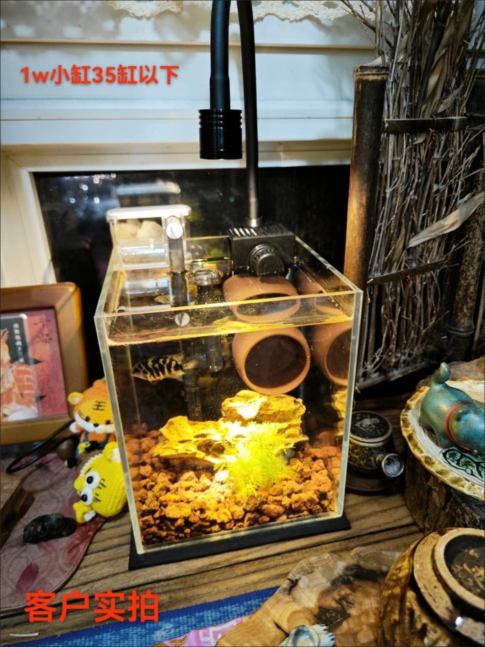 b3bfe5a6-3224-47a4-b00d-539cd64385e8.jpe