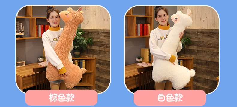 790_03.jpg