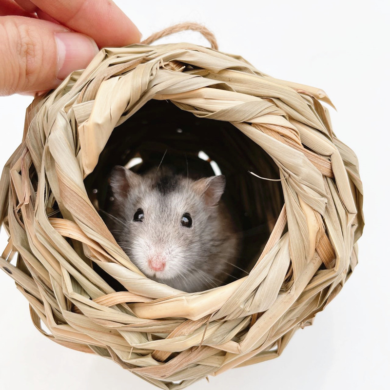 吊草窝 主图.jpg