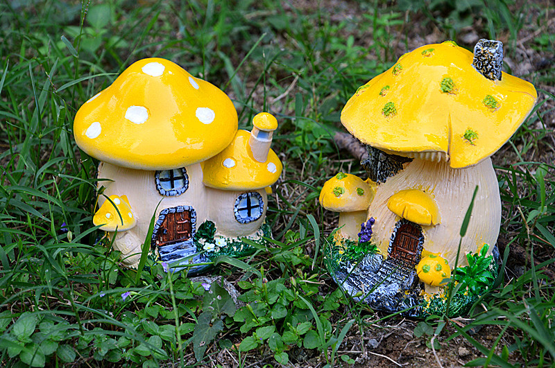DSC_0070_副本.jpg