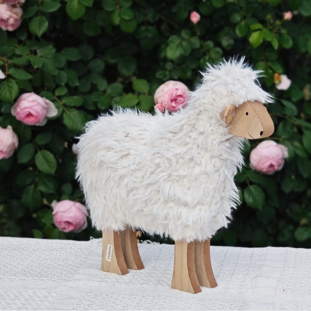 2025-05-28 14:49:34.jpg