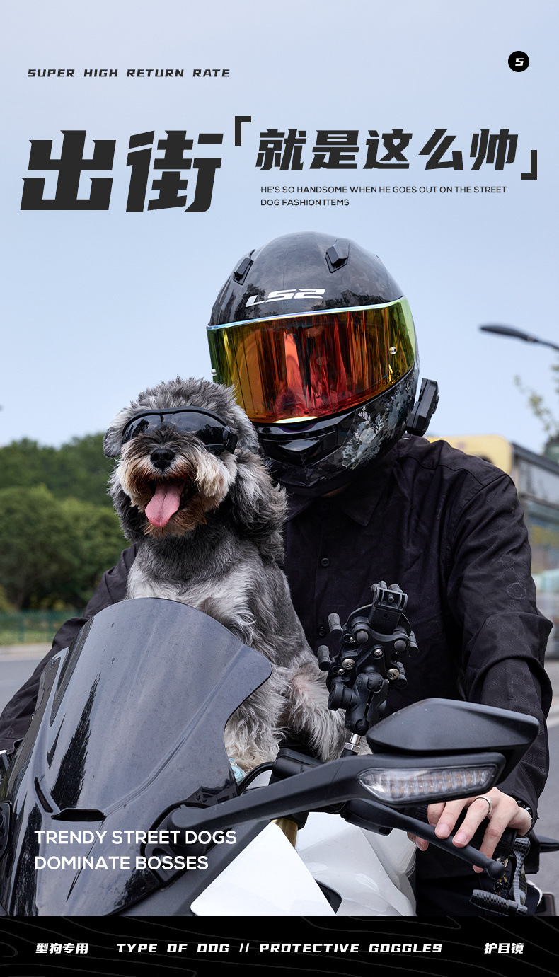 9dbdbc56-a3e6-4a86-94ba-1642fd25ed55.jpe