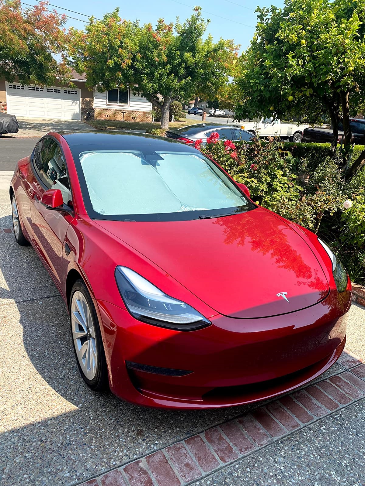 C15q2ESvrkS._SL1600_