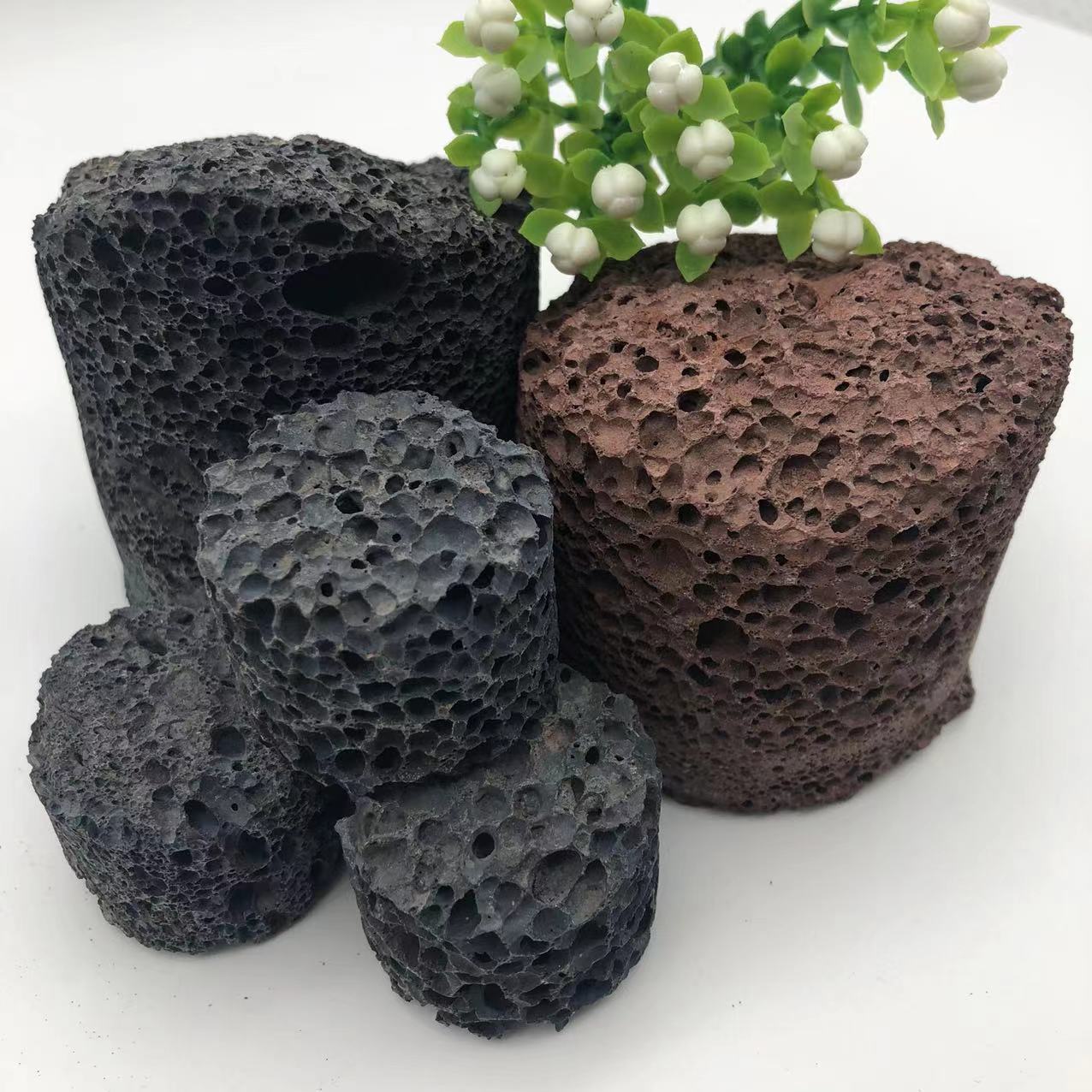 a43192360492979056ab13099277d5