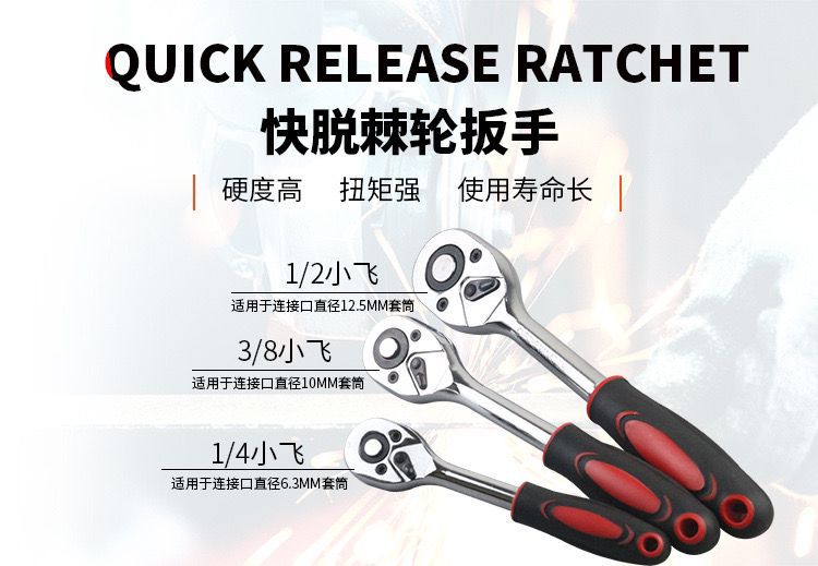 QQ图片20240809135031.jpg