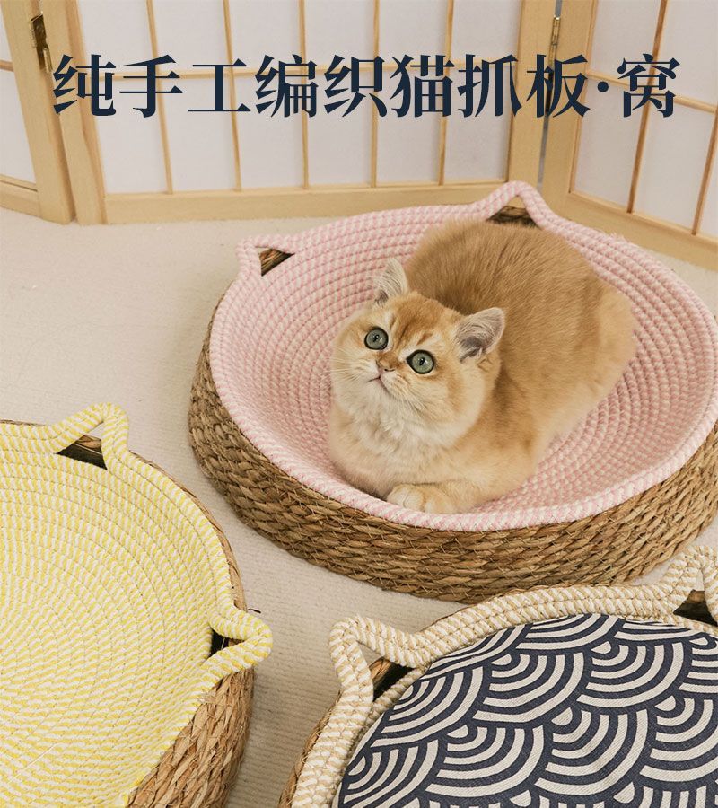 1f5b9f46-e1fb-4295-aae5-8befb89ba2ad.jpe