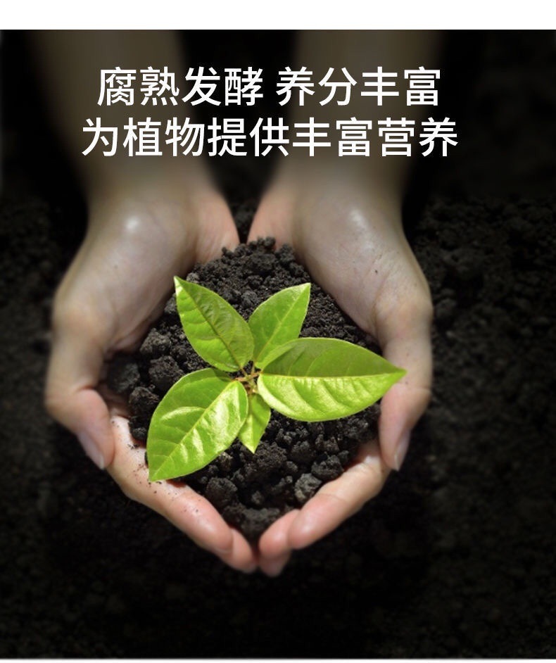 ca6d0705-b019-4f57-ad8f-9554a101a729.jpe