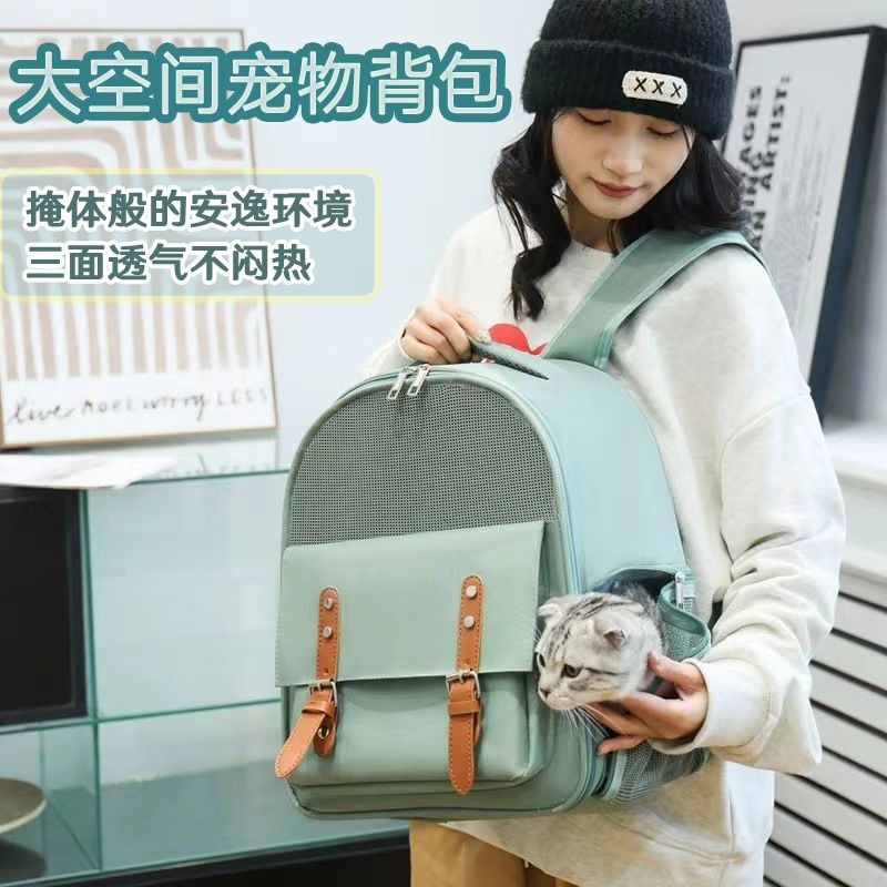 3b208fae-26b5-47a9-bb28-b51ba5e19ca0.jpe