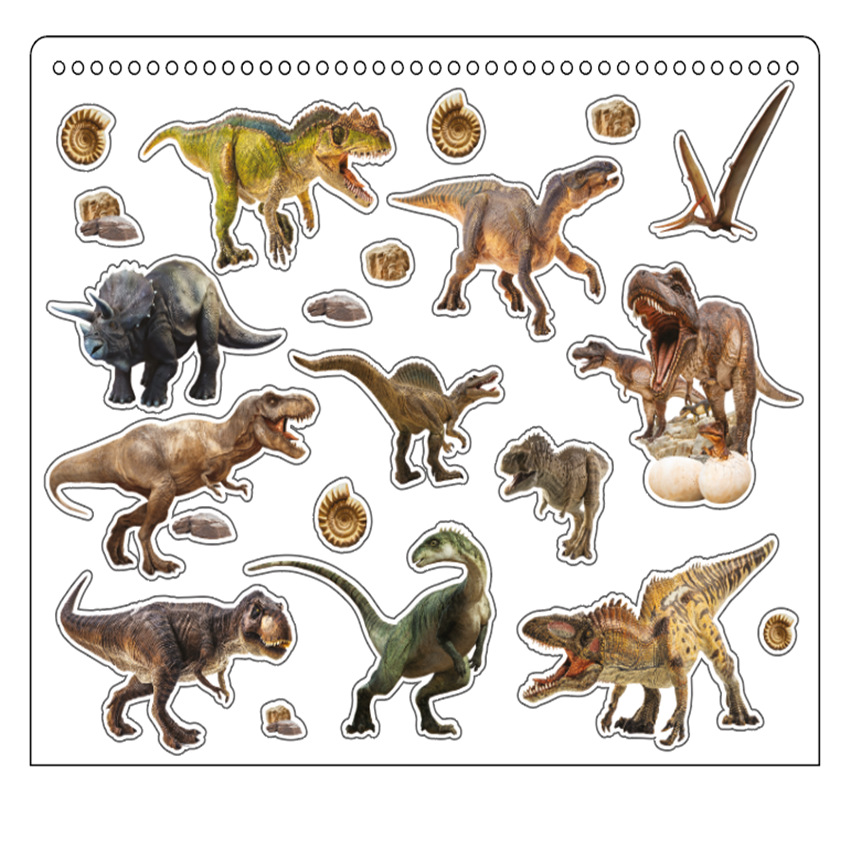 QQ图片20240806113956_副本