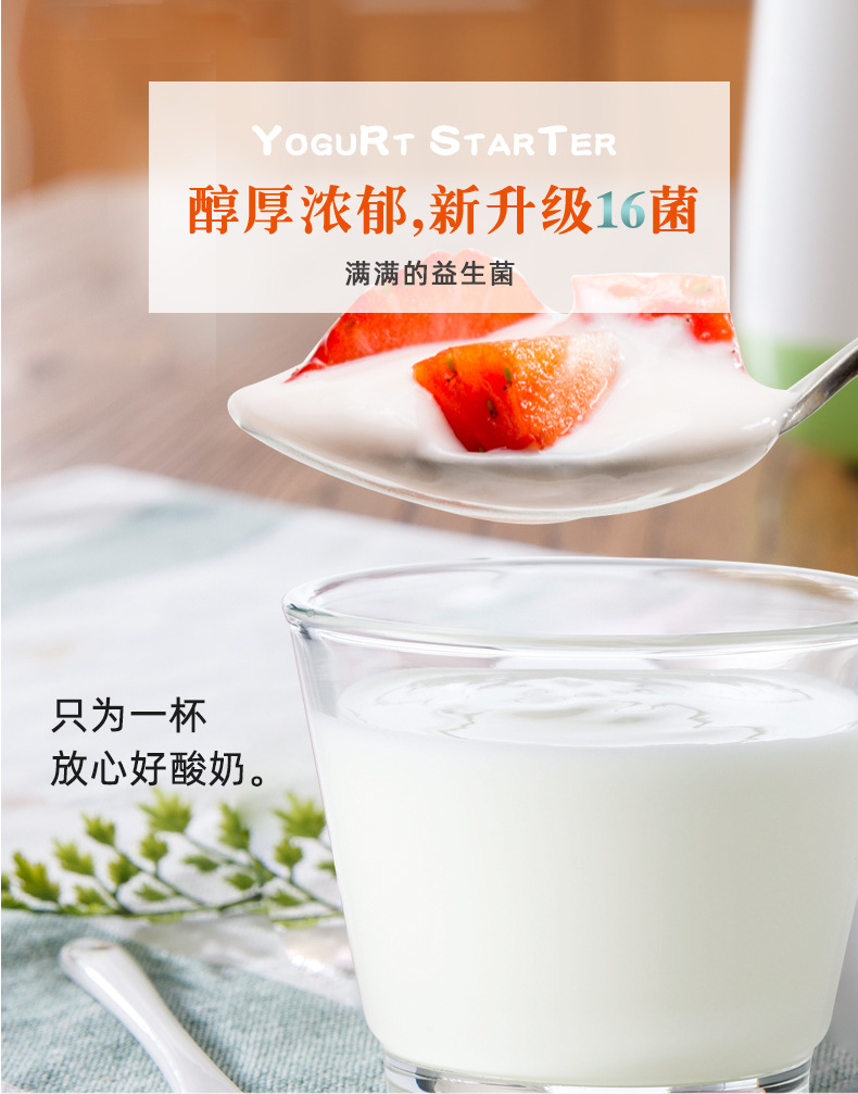 酸奶发酵粉（16菌） (1)
