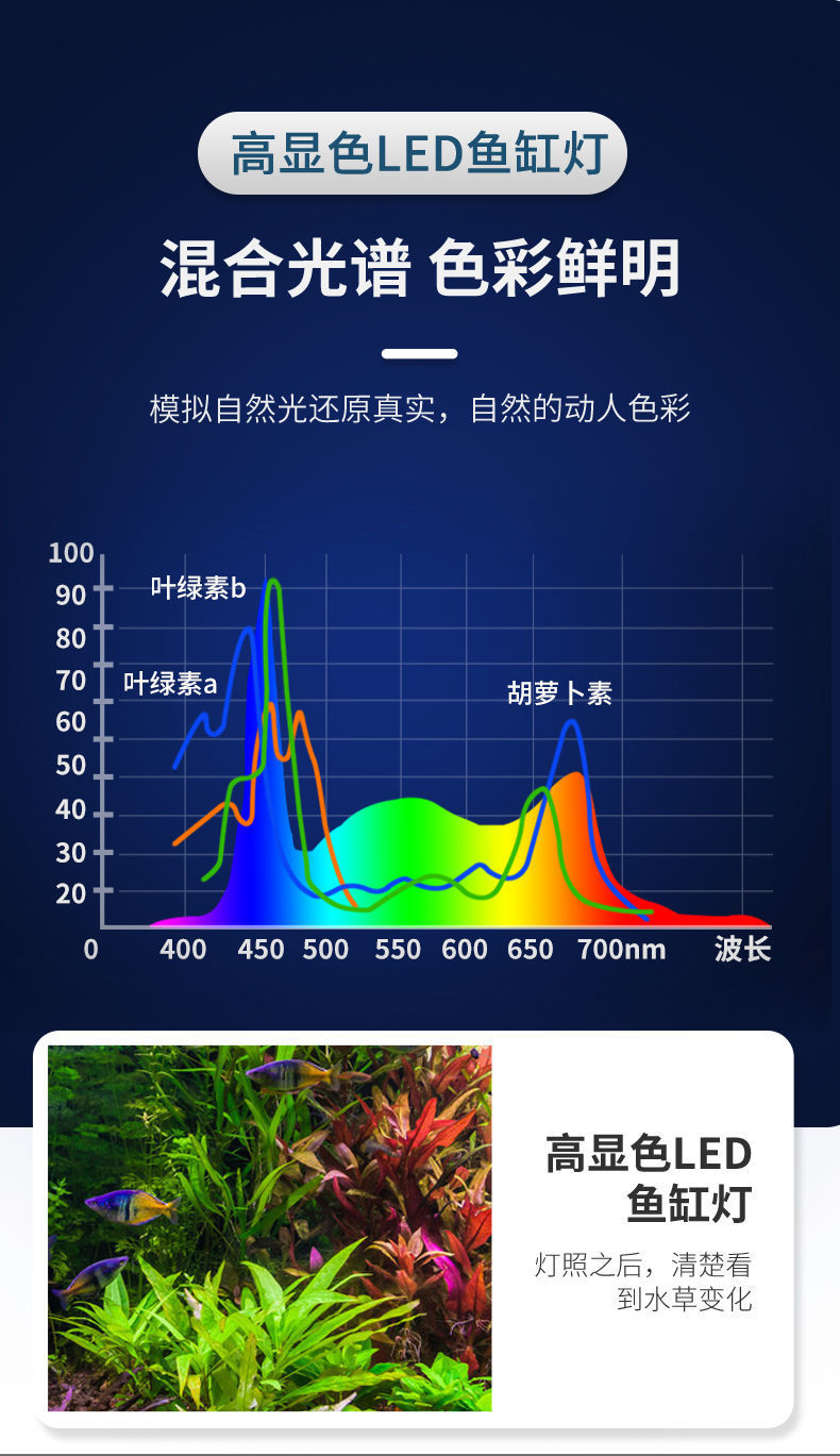 c7654bee-e5da-408a-8aaa-c28cd634816e.jpe