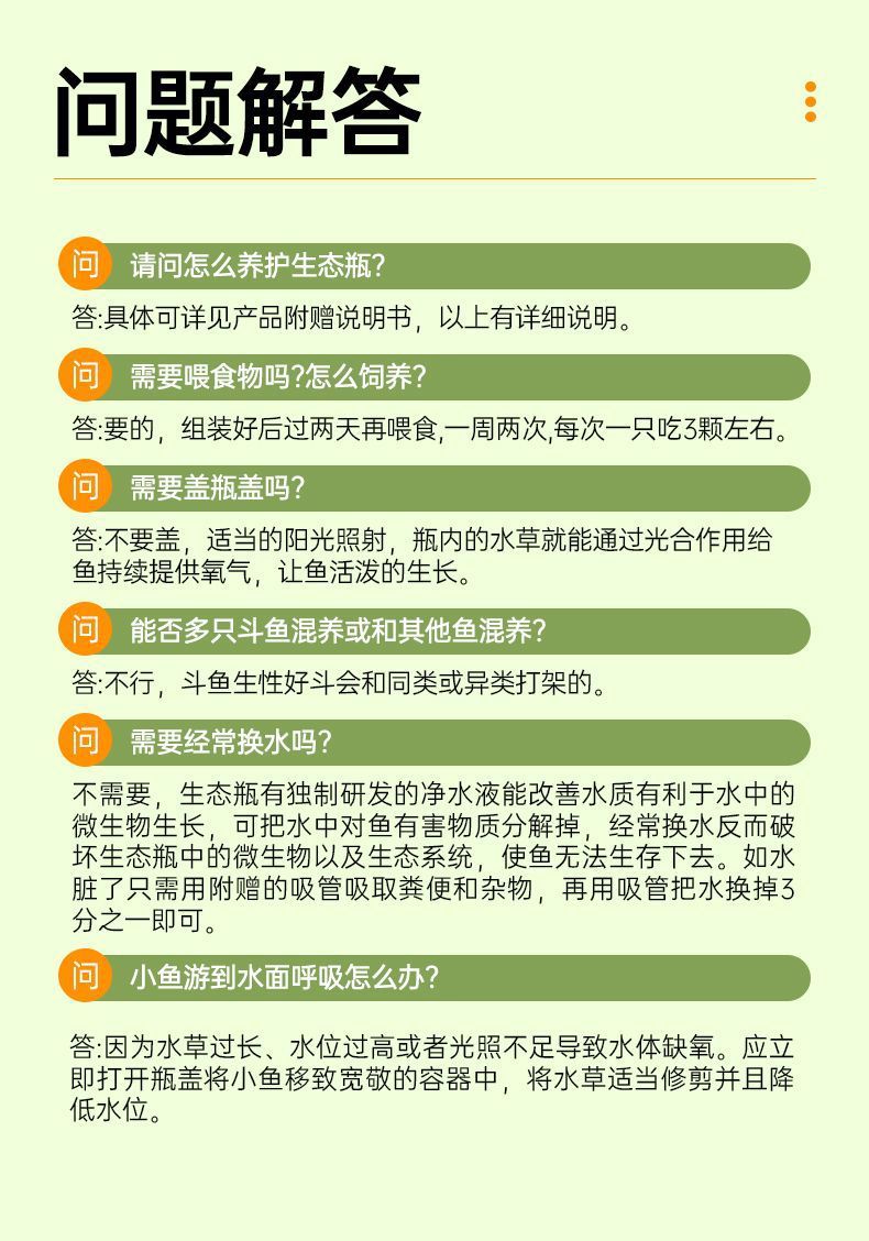 eb735822-3958-4b81-83f7-37619067c8d1.jpe