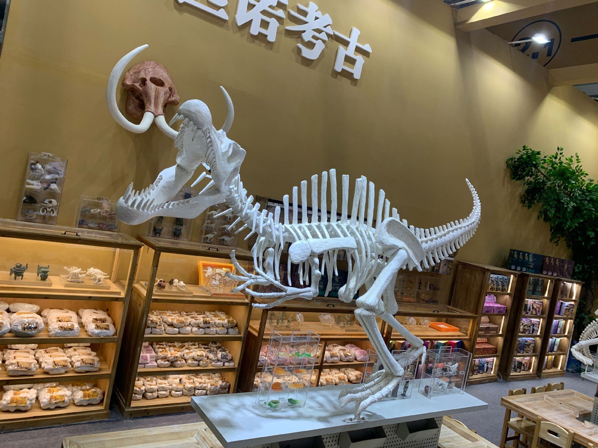 对的.jpg