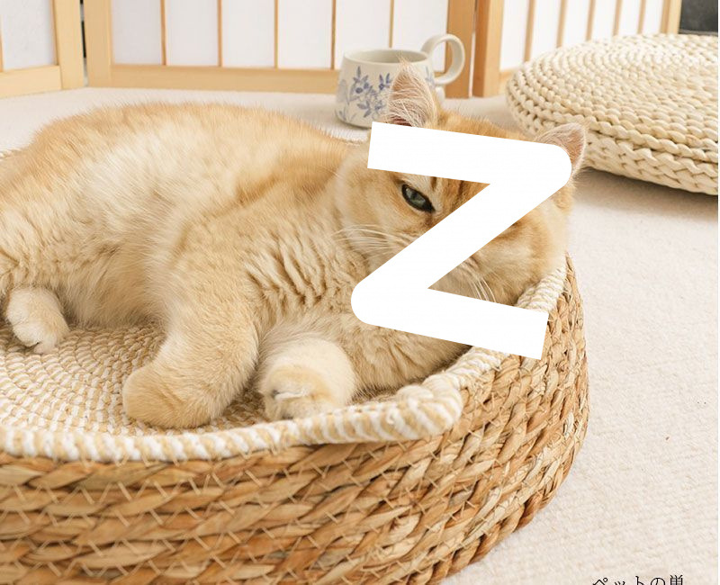 1af7c2f6-14c7-4899-8bbf-4b1a1c48a4ce.jpe