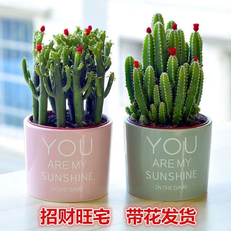 a3a1d670-b05f-418d-bb42-21aa128fa113.jpe