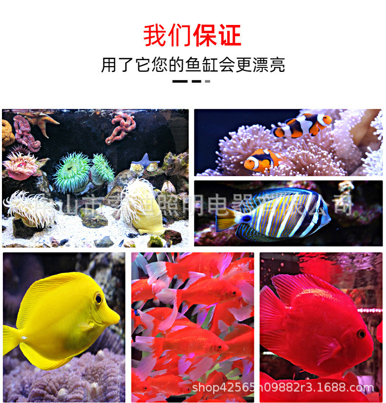 T8双排灯详情 5.jpg