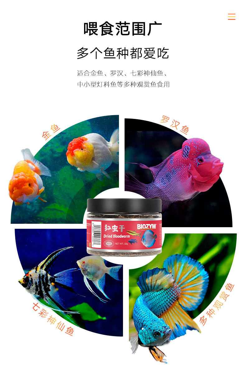 详情_06.jpg