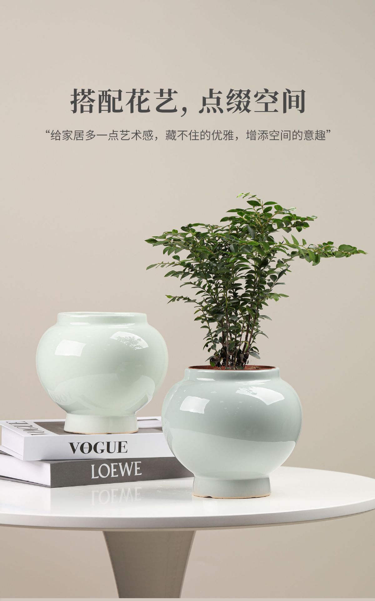 花盆8大图 (4).jpg