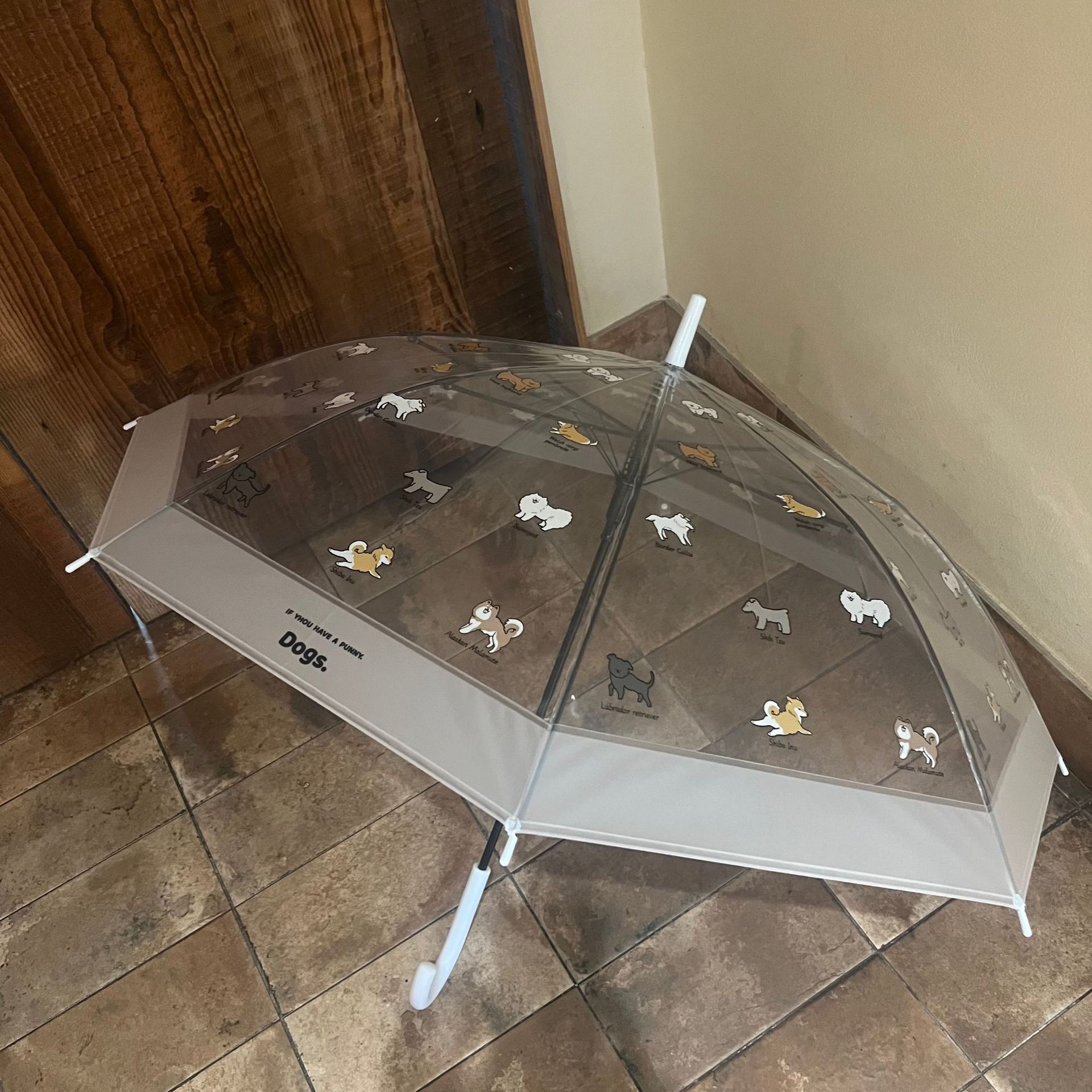 微信图片_20250806173641