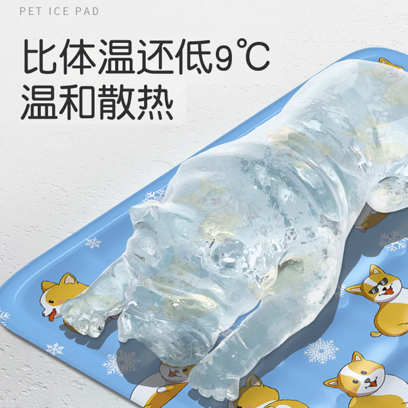 c85266d3-3086-4df0-b9fa-65b6ae2b011d.jpe