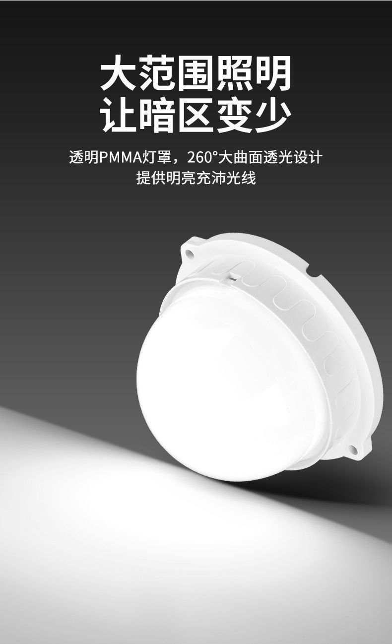 0dba2986-7ed6-452c-965b-012dcff5f906.jpe