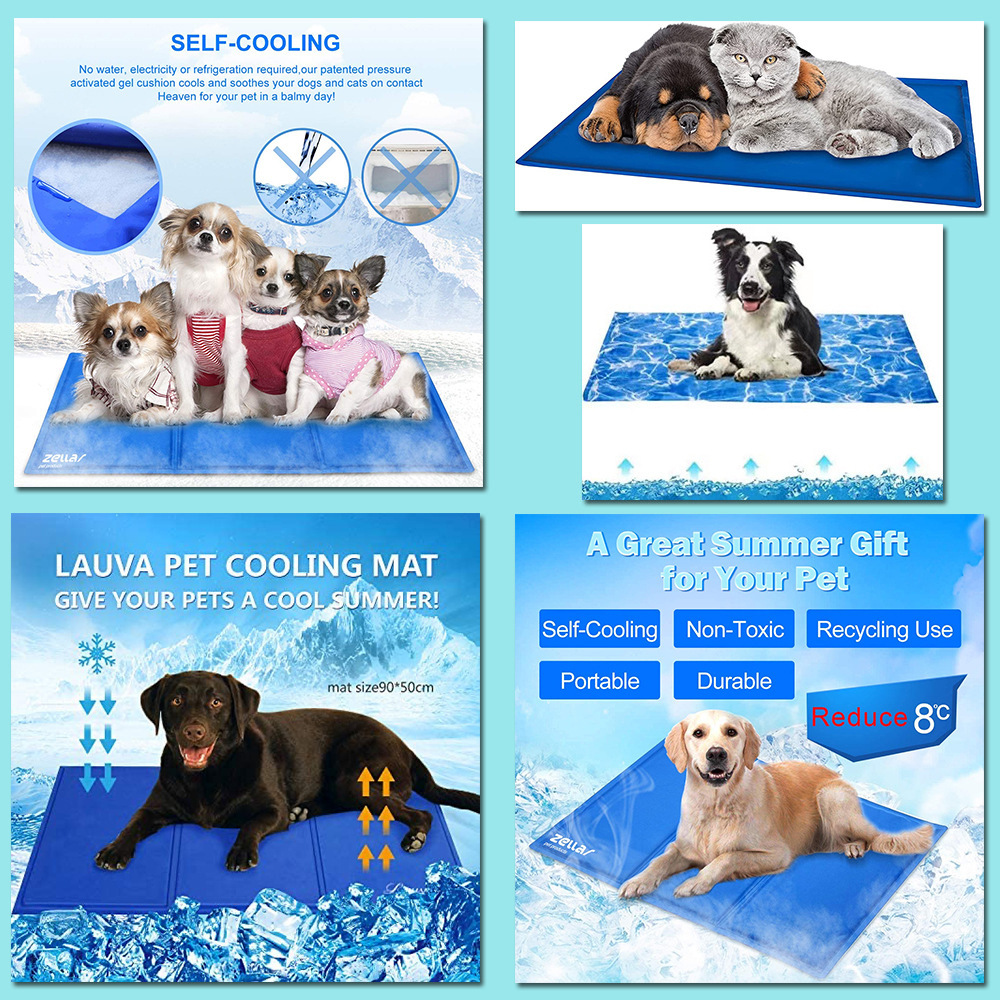 O1CN01BN15fR1CZ5vscMXhb_!!2209