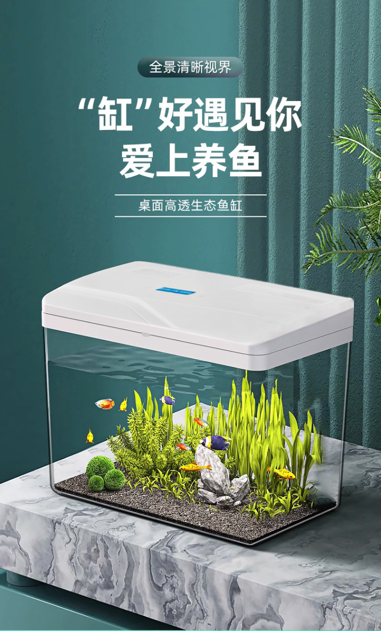 44c55a44-8e8f-45cd-9746-741426e6516f.jpe