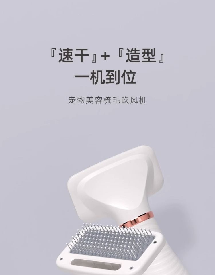 205a3801-74be-4adc-aef2-afeaa8dd7019.jpe