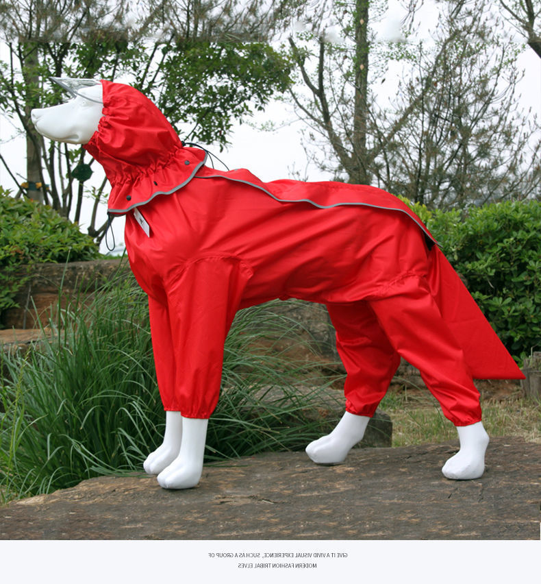 a8f697a3-d5af-4cdf-ad2f-cd7c121a8928.jpe