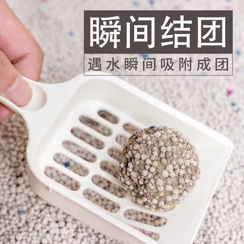 89b8a5d1-2cda-4c3c-8deb-f35d9db33c26.jpe