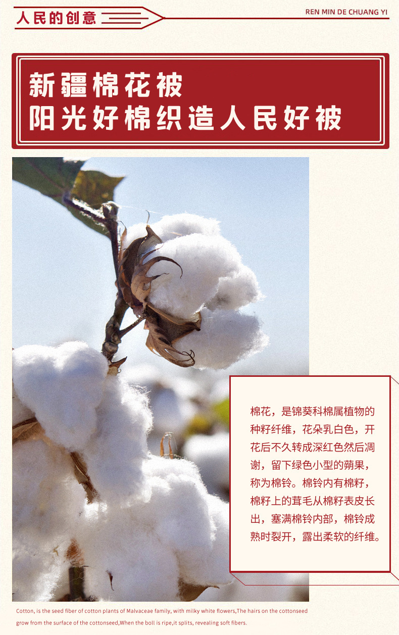 研磨棉胎_03.jpg