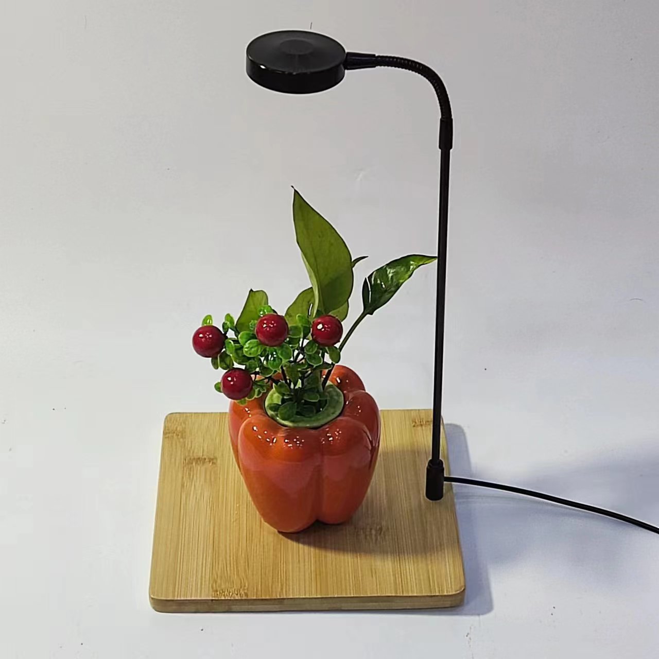 微信图片_20231114225358