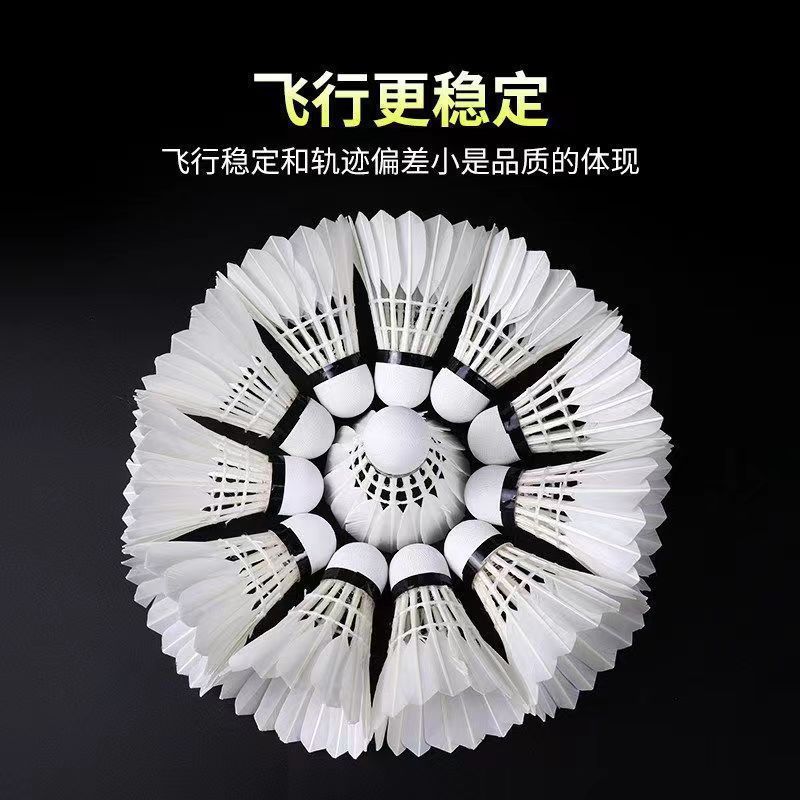 d4fa5c5e-33be-4305-a819-7521efcb7103.jpe
