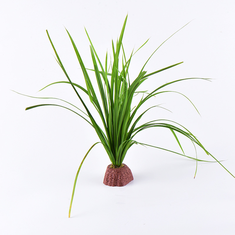 宝塔火山石+泰国水剑2