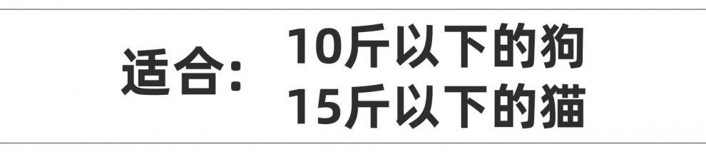 尺码