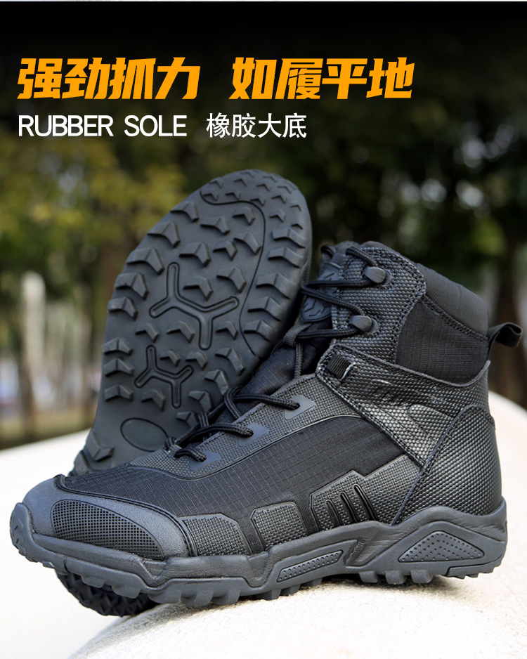 35cf53a6-a644-4b58-a8e2-4bae6f3f3deb.jpe